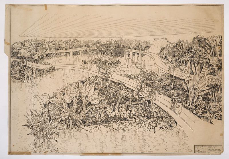 55164369443_b923dbbce7_c