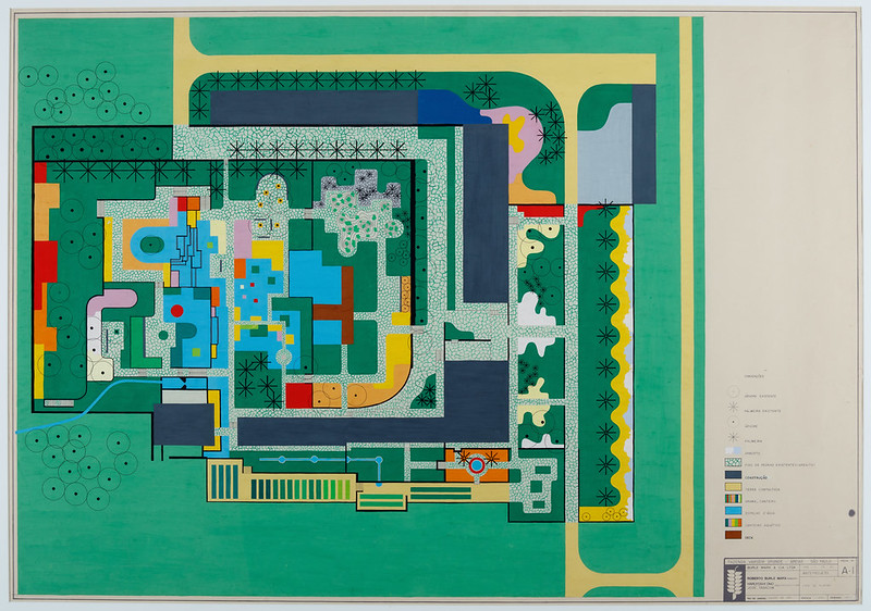 55164514575_429130ae2f_c